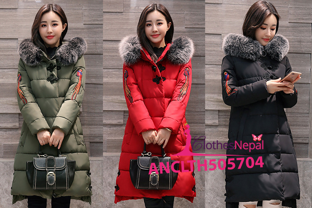 ANCLTH505704